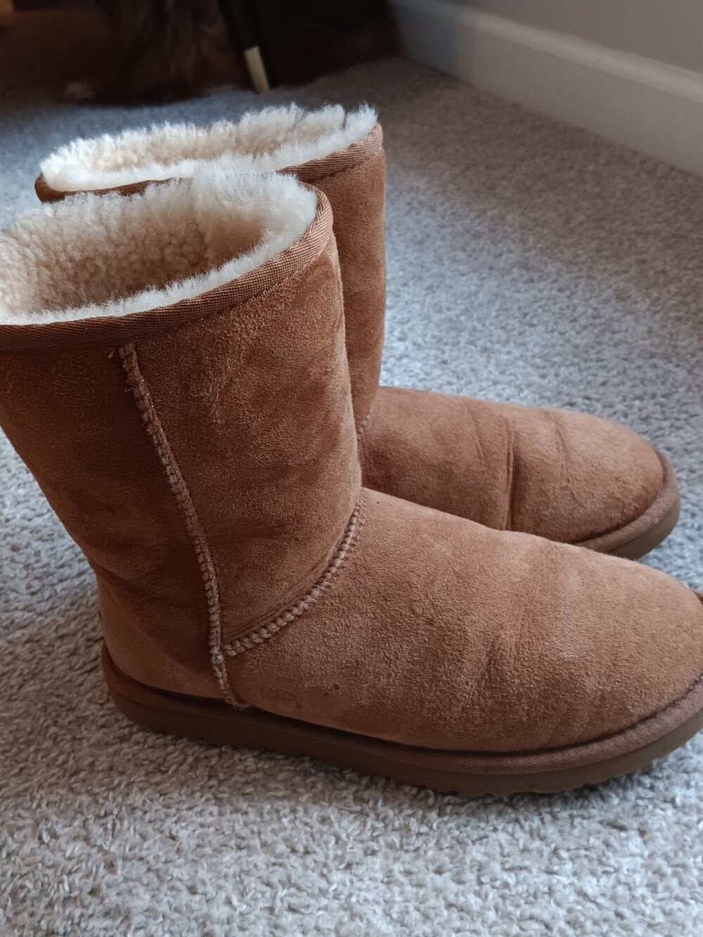 Classic Short II UGG / Chestnut / Woman size 7
